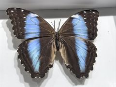 -烟台市博物馆