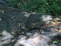 -云岫谷游猎自然风景区