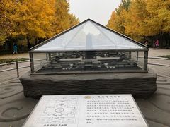 -玲珑塔公园
