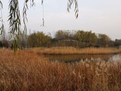 -北坞公园