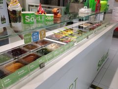 -Salud撒露欧洲冻酸奶(798艺术区店)