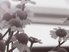 -WATER CAFE(广厦店)