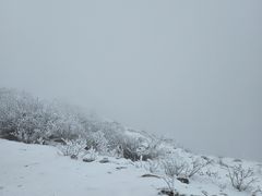 -牛背山