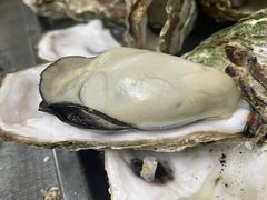 -蚝哥花姐湛江烤生蚝(美丽湾市场店)