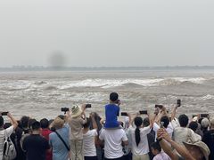 -观潮胜地公园