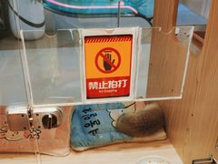 -屋虎猫馆(宝安大仟里店)