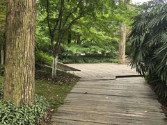 -南山植物园