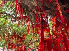 -国恩寺