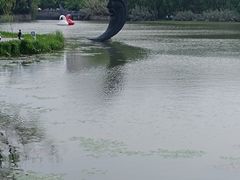 -昆山城市生态森林公园