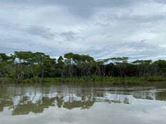 -东寨港红树林旅游区