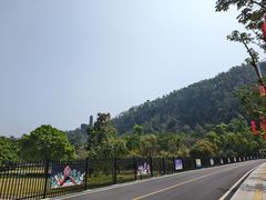 -南沙蒲洲花园
