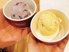 哈根达斯-大渔铁板烧(万象城店)