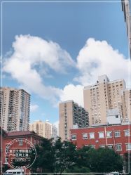 -复旦大学附属妇产科医院(黄浦院区)