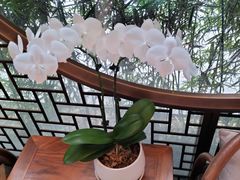 -蘇锦宴·淮扬菜烤鸭·小院(三元桥霄云路店)