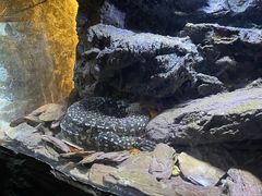 -海南热带野生动植物园