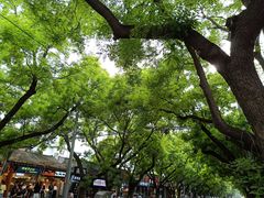 -VOYAGE COFFEE(北锣鼓巷店)