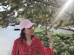 -清远熹乐谷温泉度假酒店