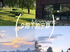 -莫子山公园