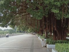 -威远炮台