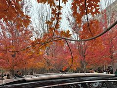 -辽宁大学(崇山校区)