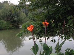 iphone_upload_pic-贵阳市花溪国家城市湿地公园