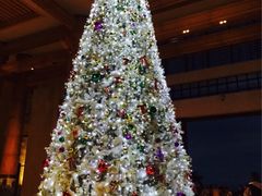 iphone_upload_pic-三亚海棠湾万丽度假酒店