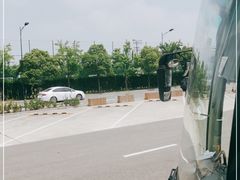 -迪士尼乐园停车场