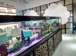 点击看大图 -可爱多国际儿童摄影会馆(龙泉店)