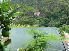 -厦门园林植物园-植物园滴水山房