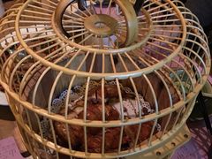 -胡桃里乐队酒馆(鎏嘉码头店)