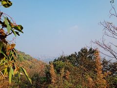 -杭州半山国家森林公园