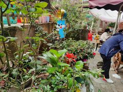 -鱼乐岛餐厅·户外花园主题餐厅