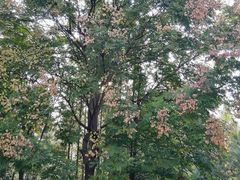 -苏州河梦清园环保主题公园