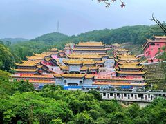 -东莞市大岭山森林公园