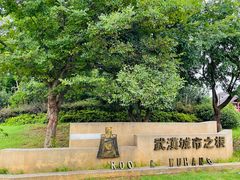 -盘龙城国家考古遗址公园