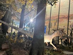 -湖南省地质博物馆