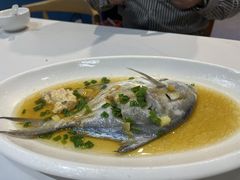 清蒸鲳鱼-海月湾海景餐厅( 嵊泗本地老字号店)