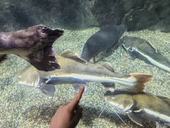 -太平洋海底世界