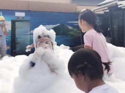 -小蜜蜂农场(凯德七宝购物广场店)