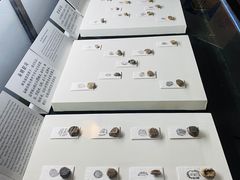 -古陶文明博物馆