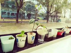 -赫德实验学校(鄞州校区)