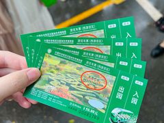 -中国科学院西双版纳热带植物园