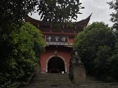 -铁山坪森林公园