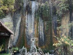 -西双版纳原始森林公园