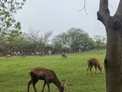 -良渚文化村