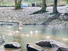 -鹿亭中村