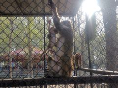 -长白岛森林公园