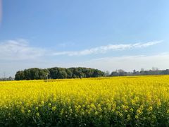 -中国天府农业博览园