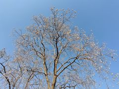 -相门城墙文化休闲景区