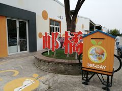 -前小桔亲子创意农场·草莓采摘·露营烧烤